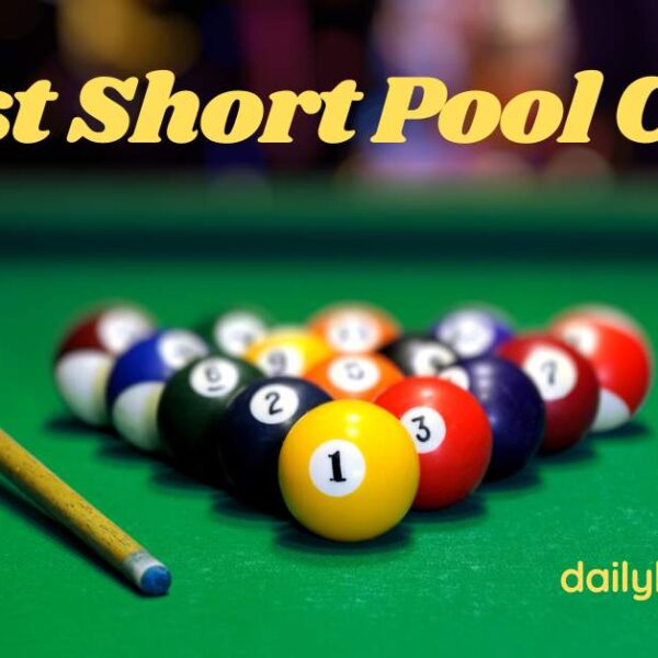 Best Short Pool Cues