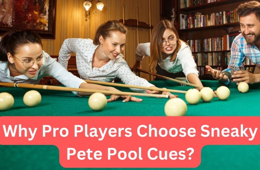 Top Best 4 stunning Sneaky Pete Pool Cues – Explore Your Need